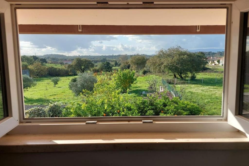 Casa Alegria - The Orangery Apartment Tomar Luaran gambar